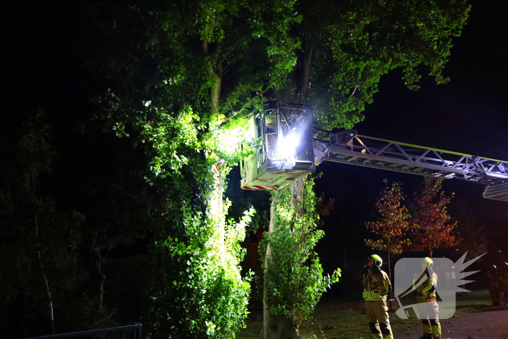 Boom getroffen door blikseminslag