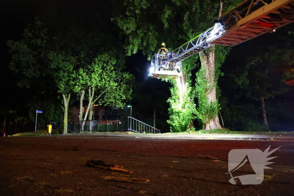 Boom getroffen door blikseminslag