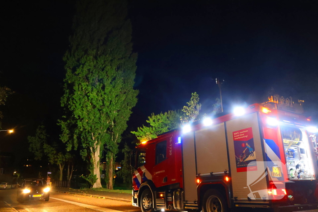 Boom getroffen door blikseminslag