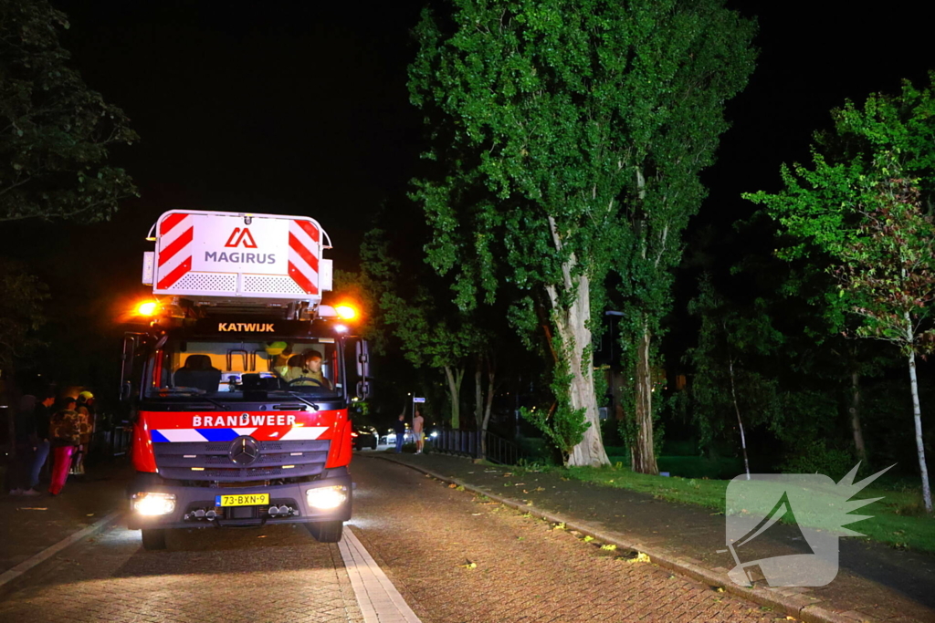 Boom getroffen door blikseminslag