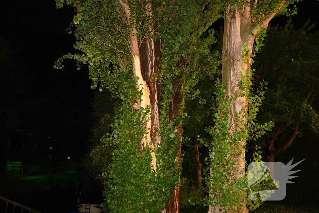 Boom getroffen door blikseminslag