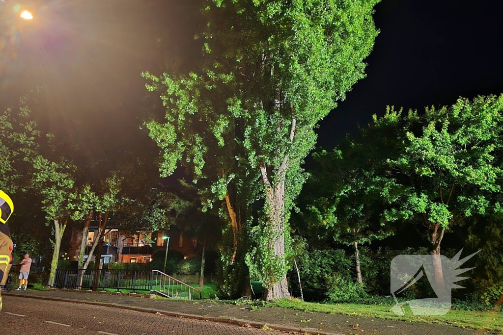 Boom getroffen door blikseminslag