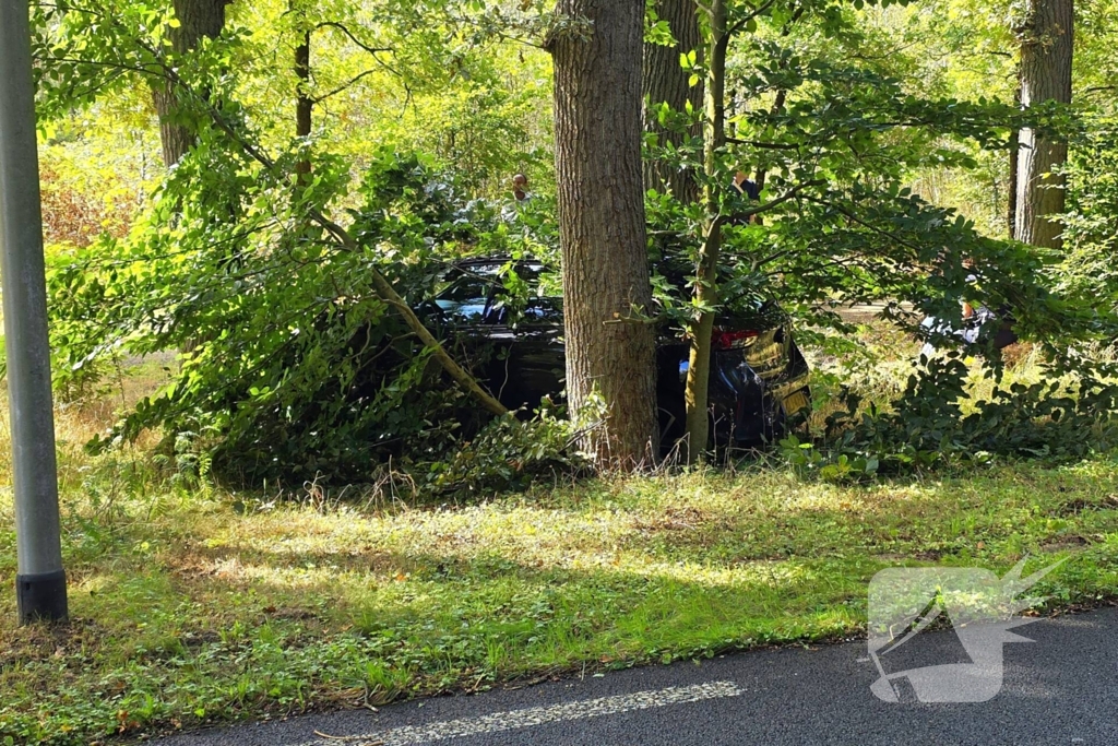 Ongeval les voertuig en personenauto twee voertuigen een eindigt tegen boom
