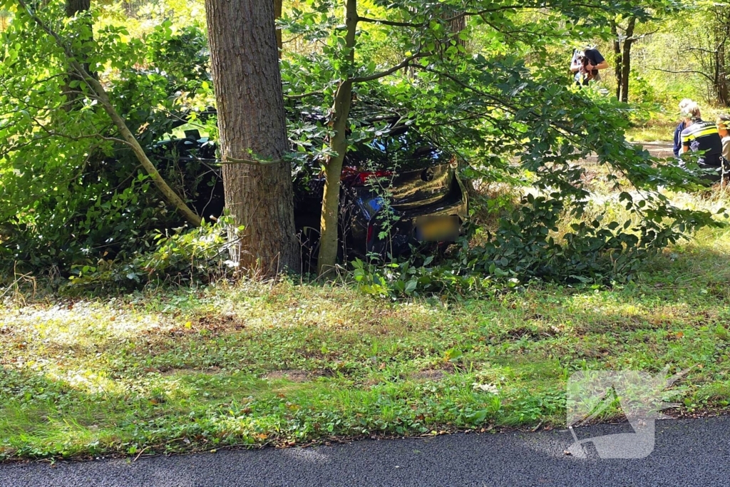 Ongeval les voertuig en personenauto twee voertuigen een eindigt tegen boom