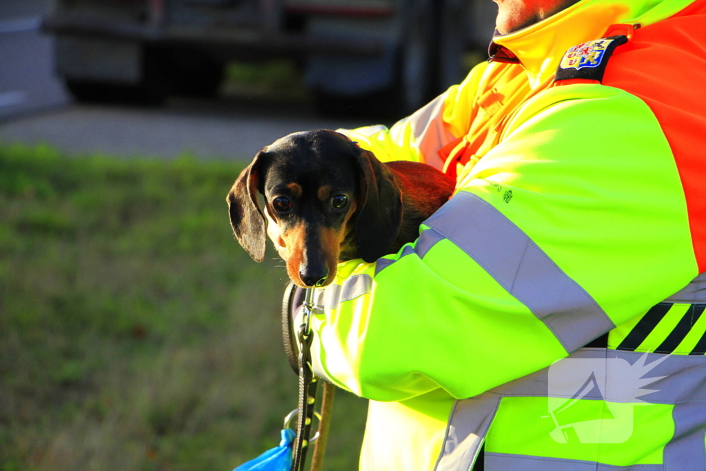 Auto botst achterop stilstaande vrachtwagen