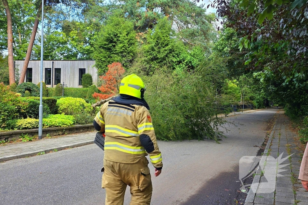 Storm doet boom omvallen op wegdek