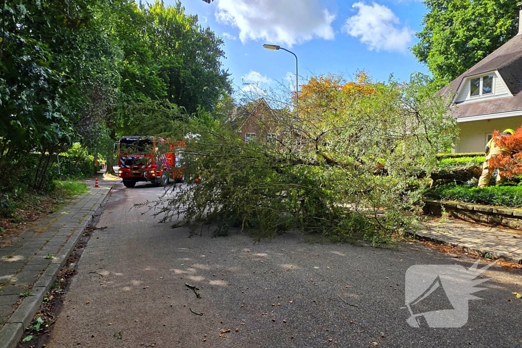 Storm doet boom omvallen op wegdek