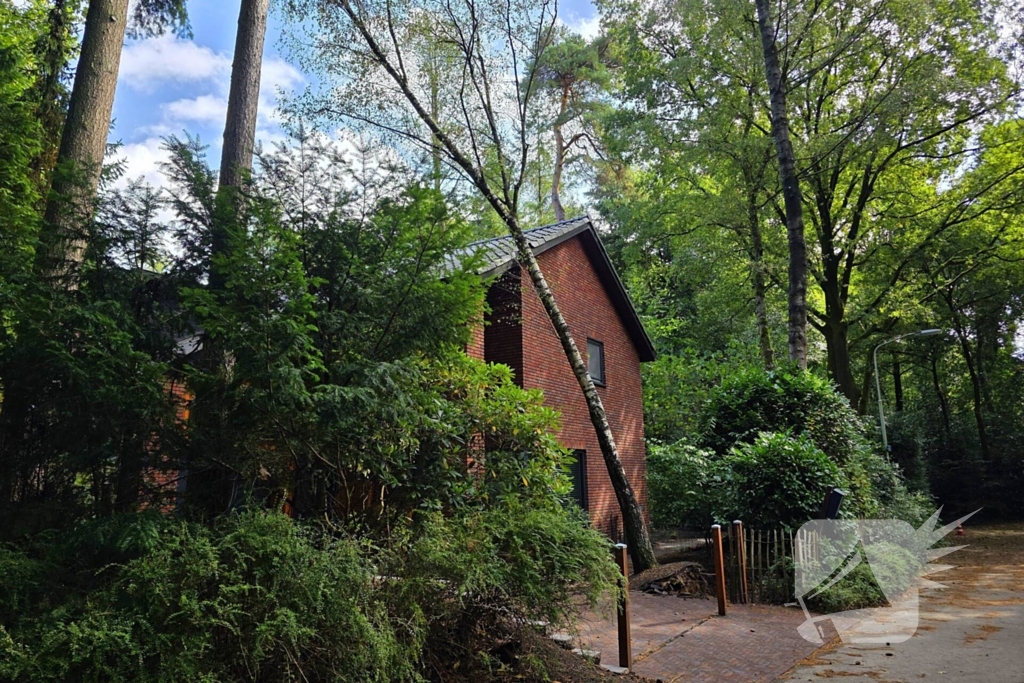 Boom valt op woning door storm