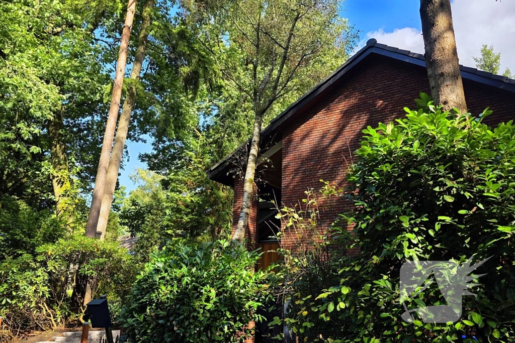 Boom valt op woning door storm