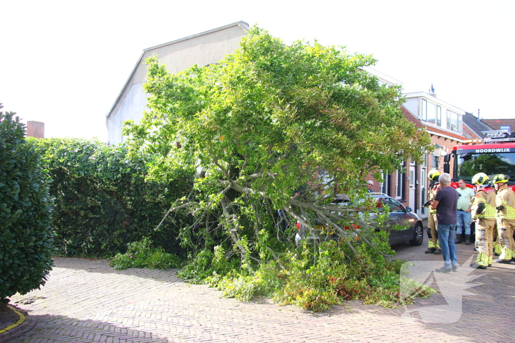 Brandweer in actie na omgewaaide boom