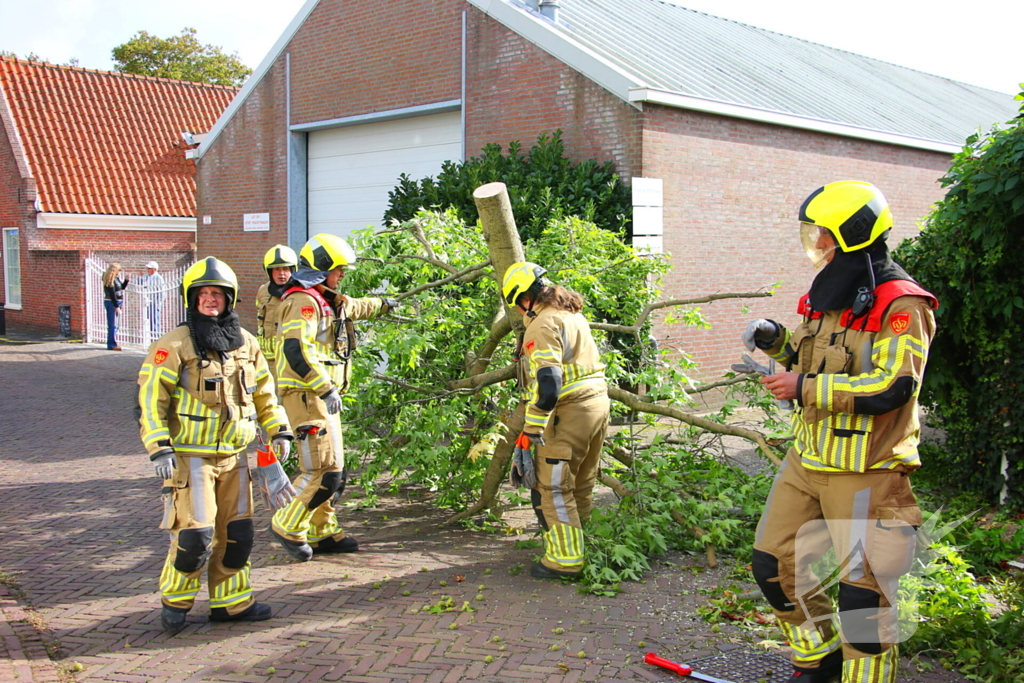 Brandweer in actie na omgewaaide boom