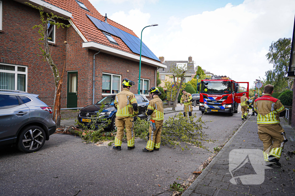 Boom beschadigt auto door storm