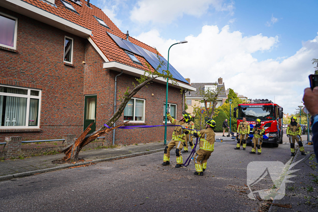 Boom beschadigt auto door storm