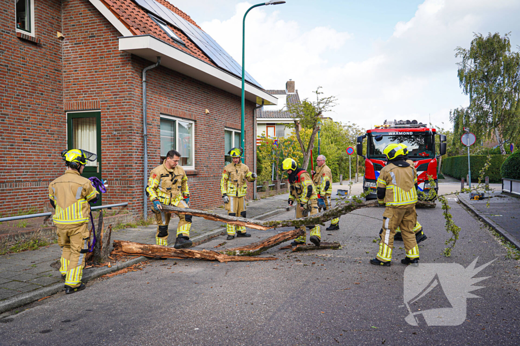 Boom beschadigt auto door storm