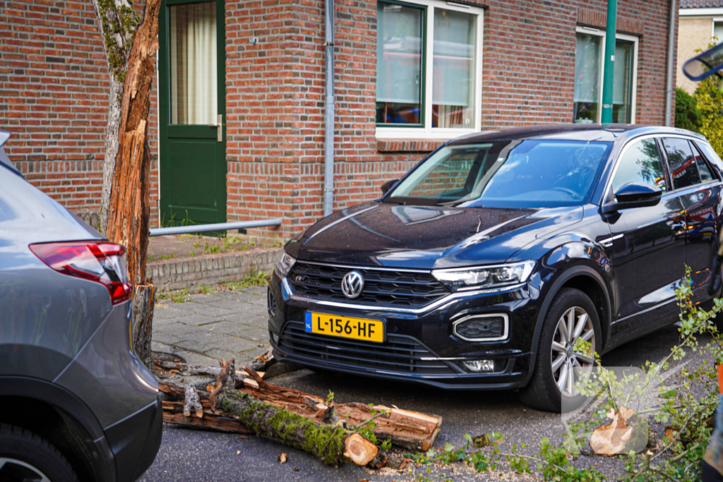 Boom beschadigt auto door storm