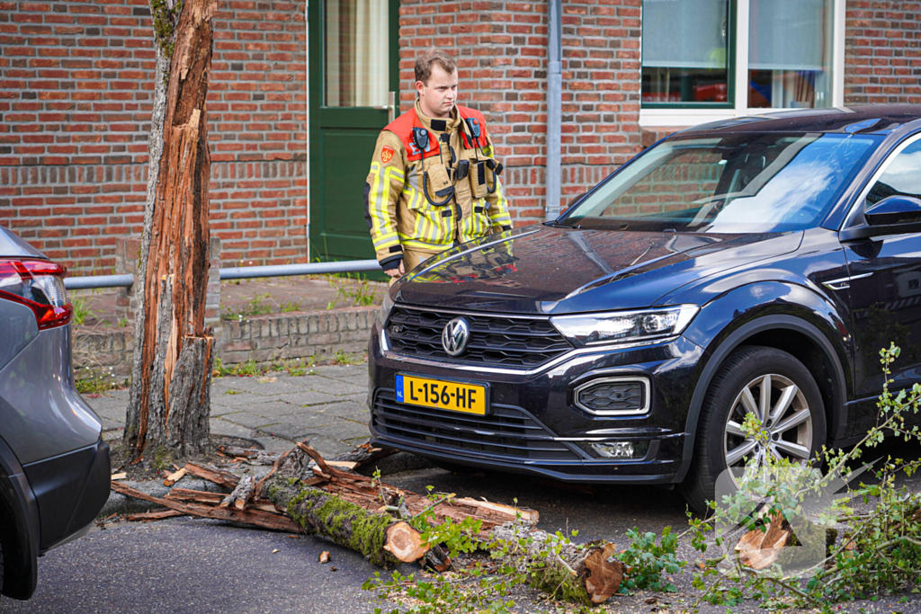 Boom beschadigt auto door storm