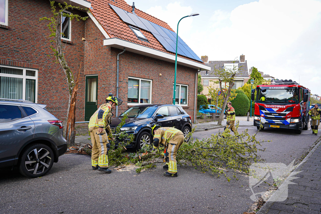 Boom beschadigt auto door storm