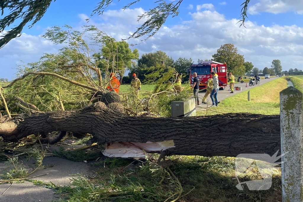 Omgevallen boom leidt tot verkeershinder