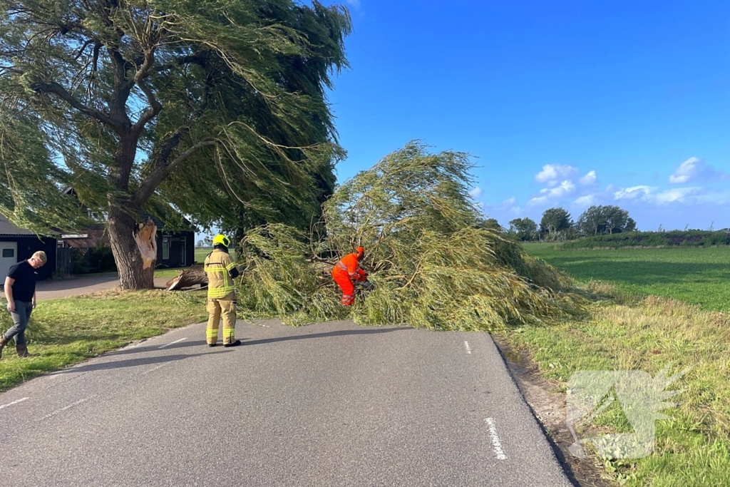 Omgevallen boom leidt tot verkeershinder
