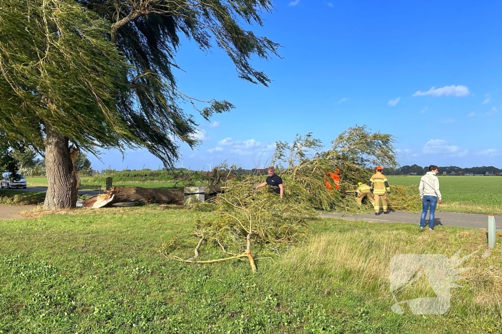 Omgevallen boom leidt tot verkeershinder