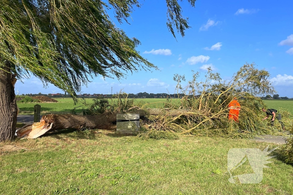 Omgevallen boom leidt tot verkeershinder