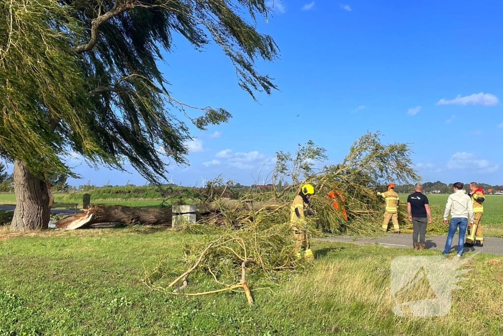 Omgevallen boom leidt tot verkeershinder