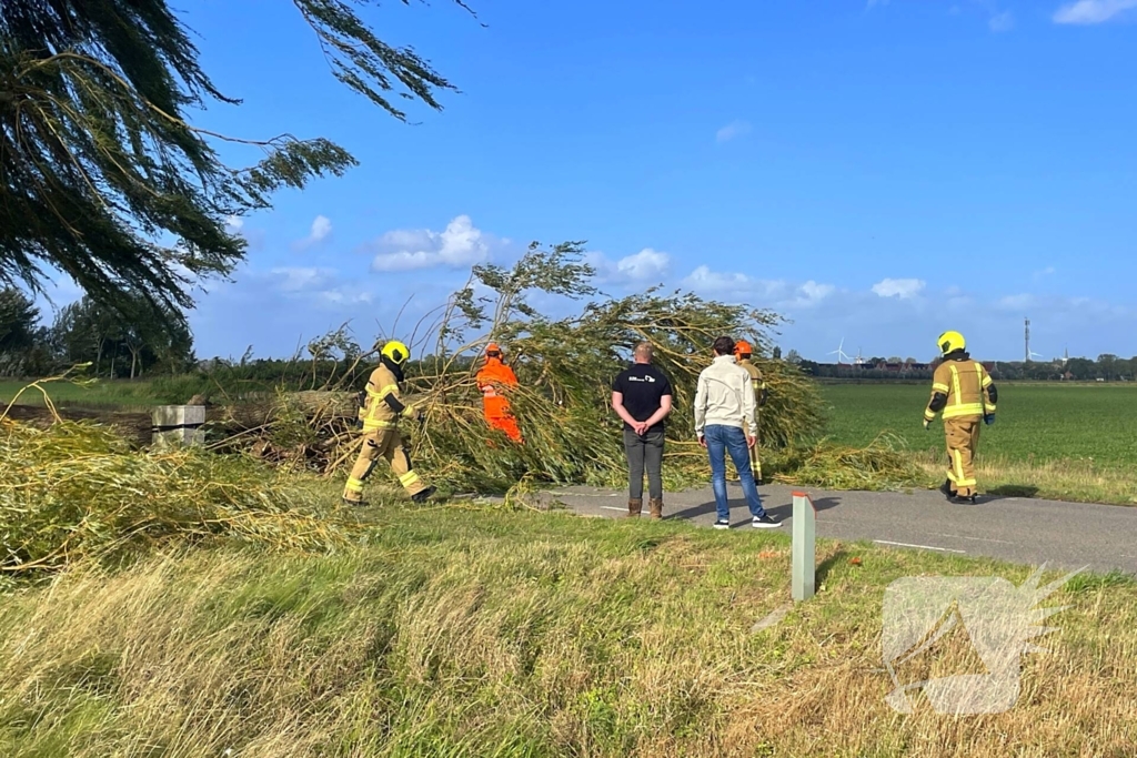 Omgevallen boom leidt tot verkeershinder