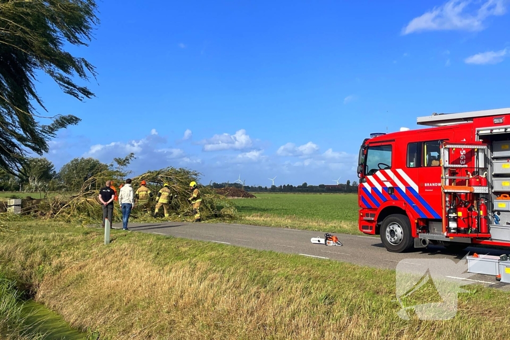 Omgevallen boom leidt tot verkeershinder