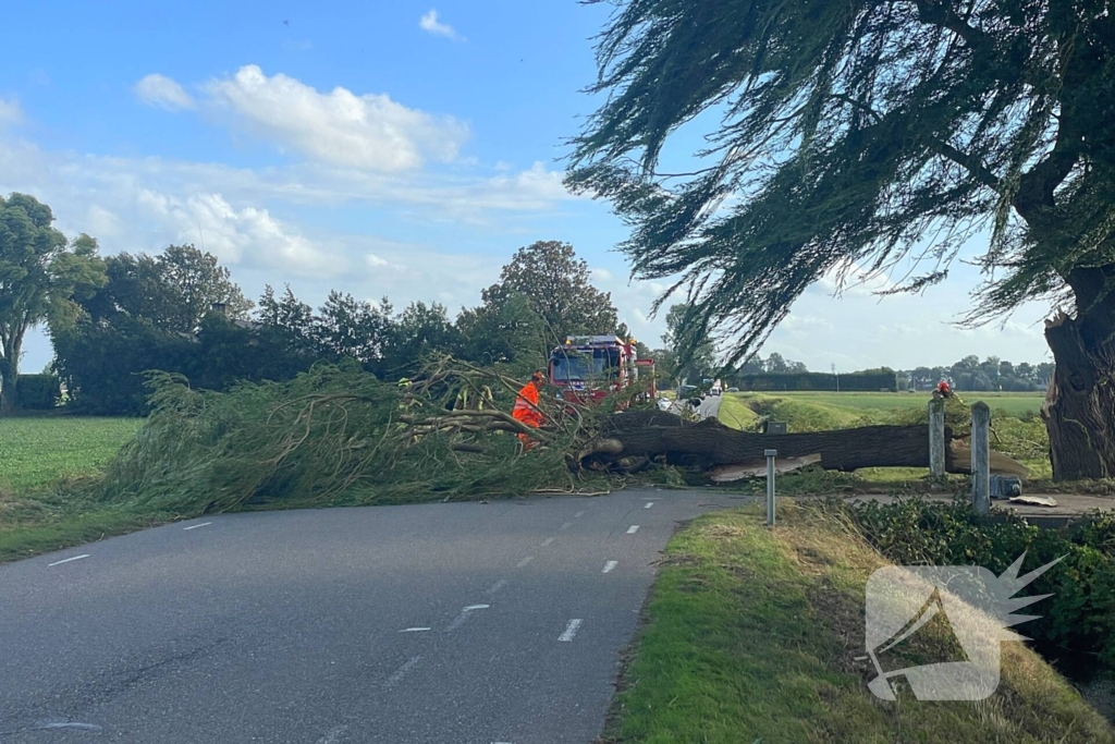 Omgevallen boom leidt tot verkeershinder