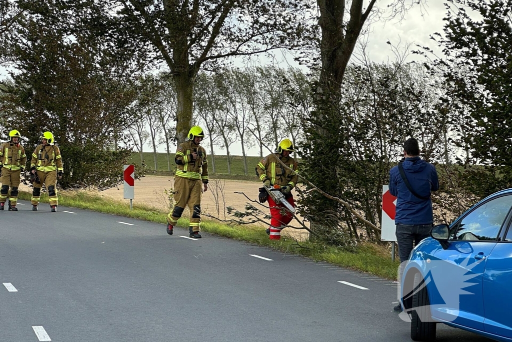 Stormschade zorgt voor afgebroken tak