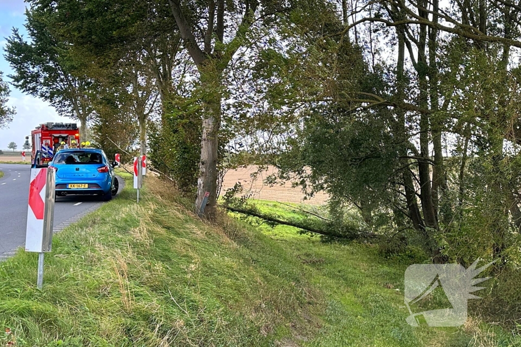 Stormschade zorgt voor afgebroken tak