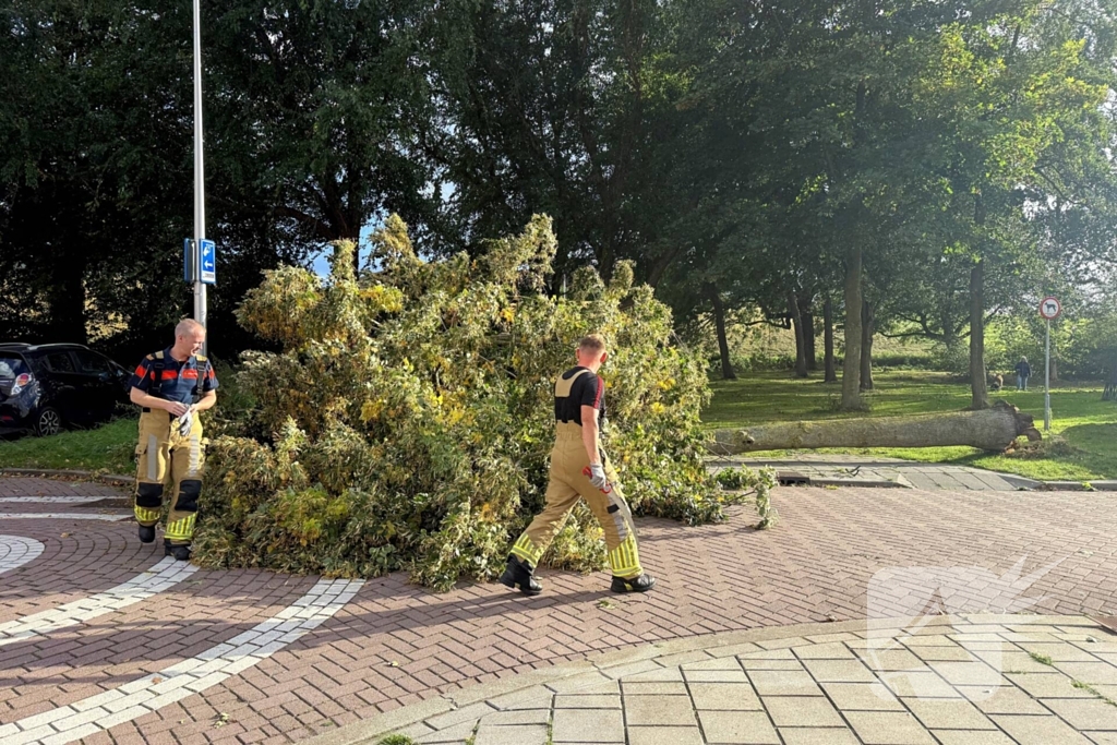 Storm legt boom op weg
