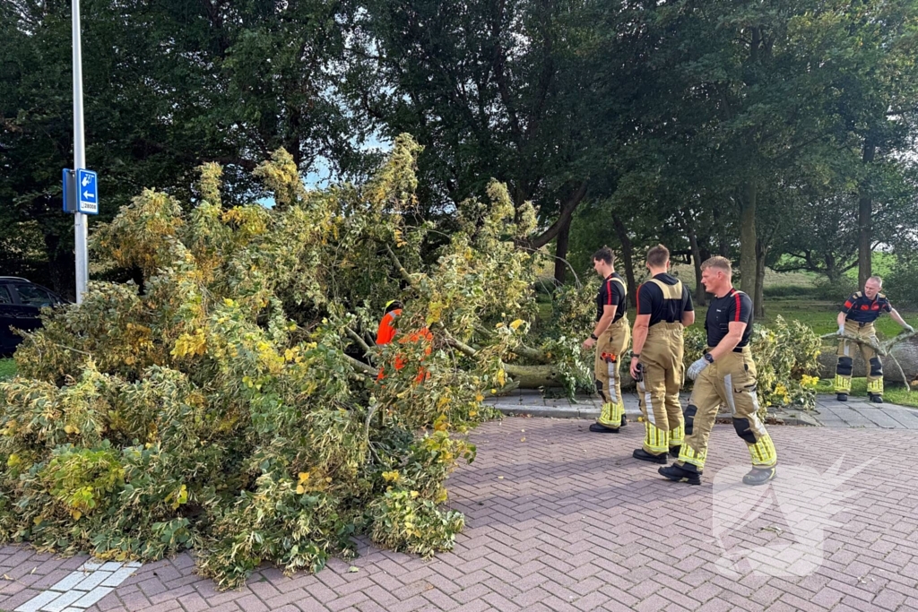 Storm legt boom op weg