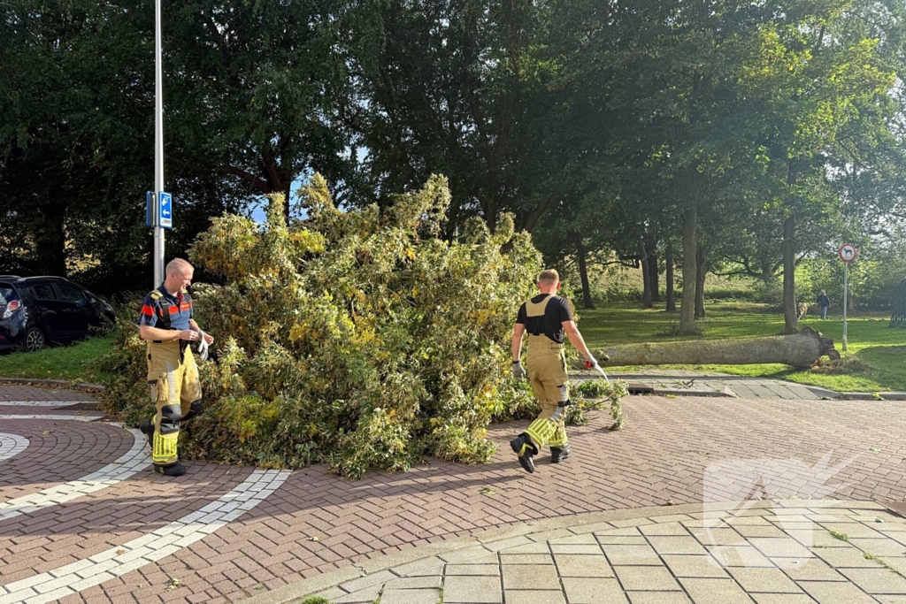 Storm legt boom op weg