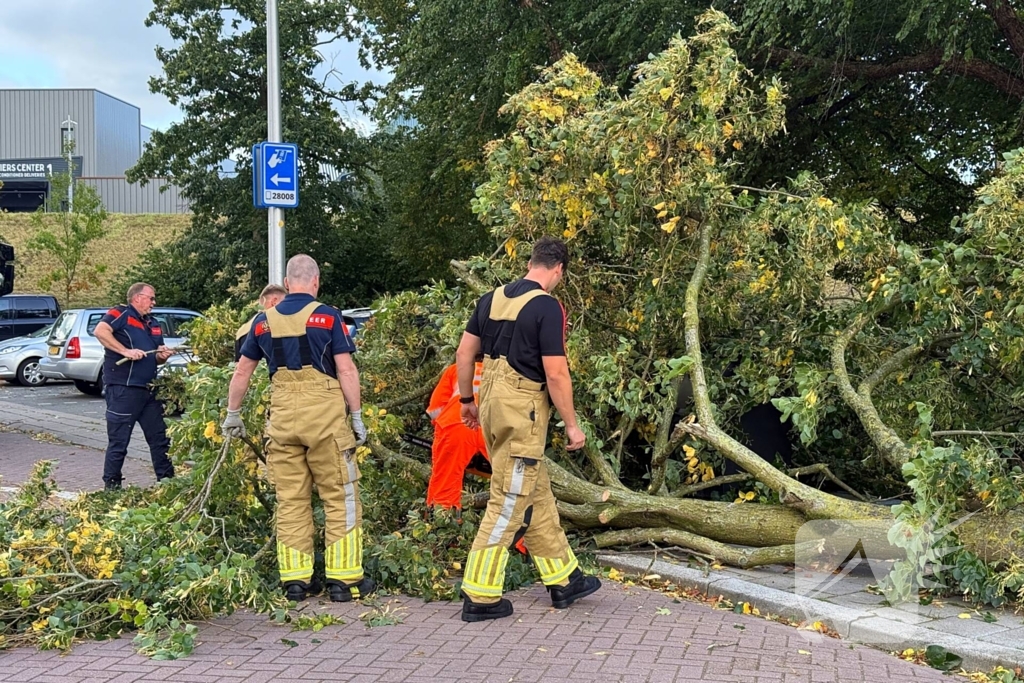 Storm legt boom op weg