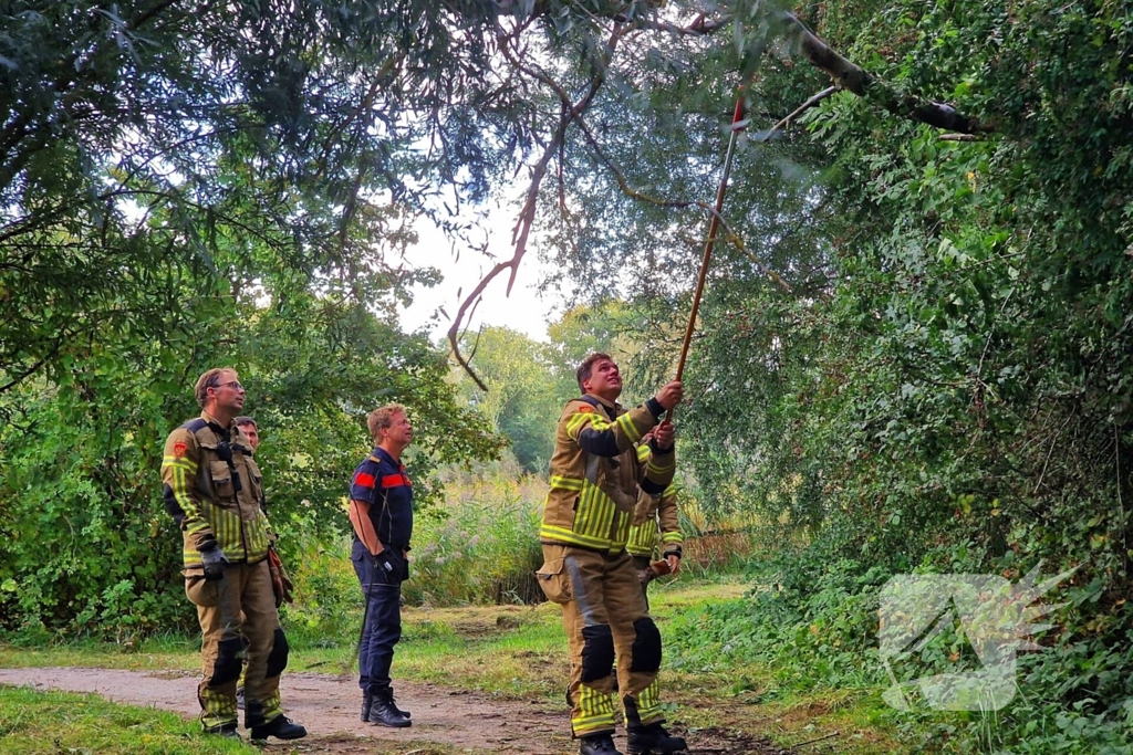 Buurtbewoners alarmeren brandweer om geknakt takje