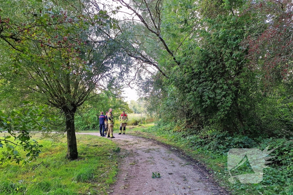 Buurtbewoners alarmeren brandweer om geknakt takje