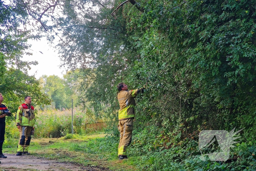 Buurtbewoners alarmeren brandweer om geknakt takje