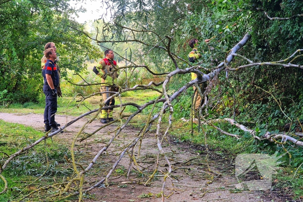 Buurtbewoners alarmeren brandweer om geknakt takje