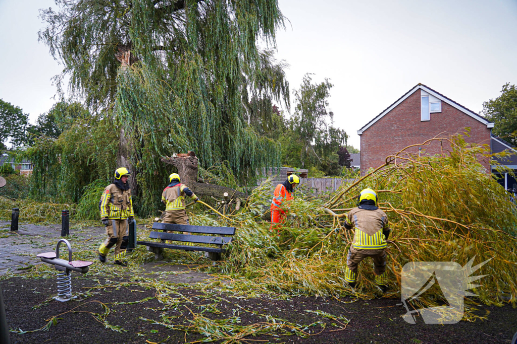 Groot deel van boom belandt in speeltuin