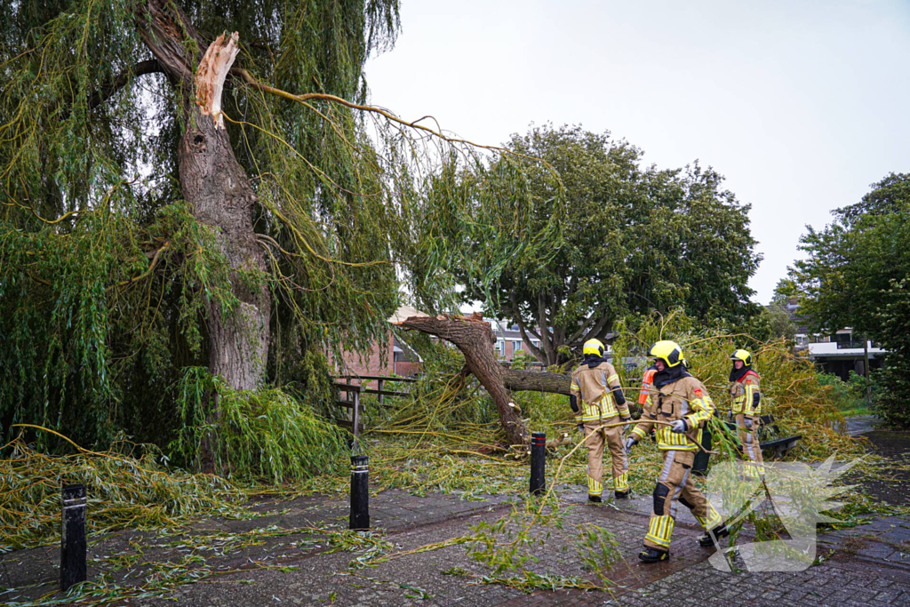 Groot deel van boom belandt in speeltuin