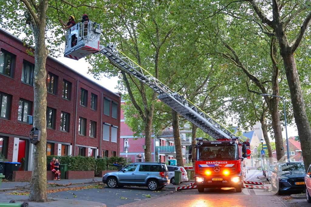 Brandweer verwijdert takken uit boom na natuurincident