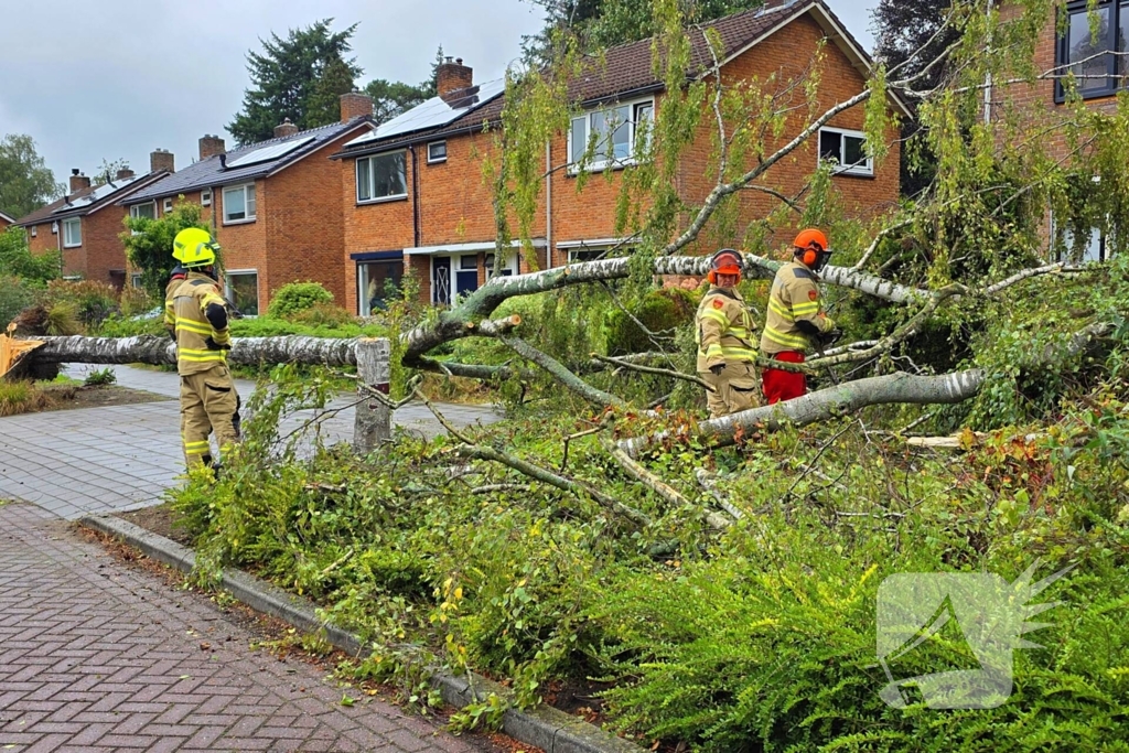 Boom valt om tijdens ingreep van brandweer