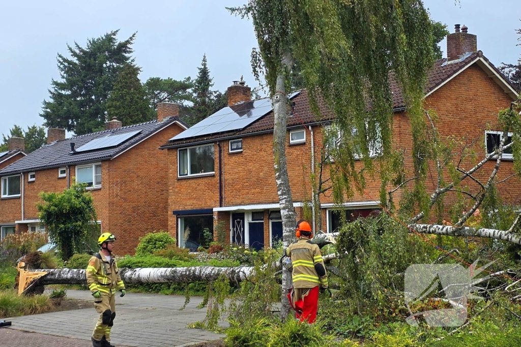 Boom valt om tijdens ingreep van brandweer