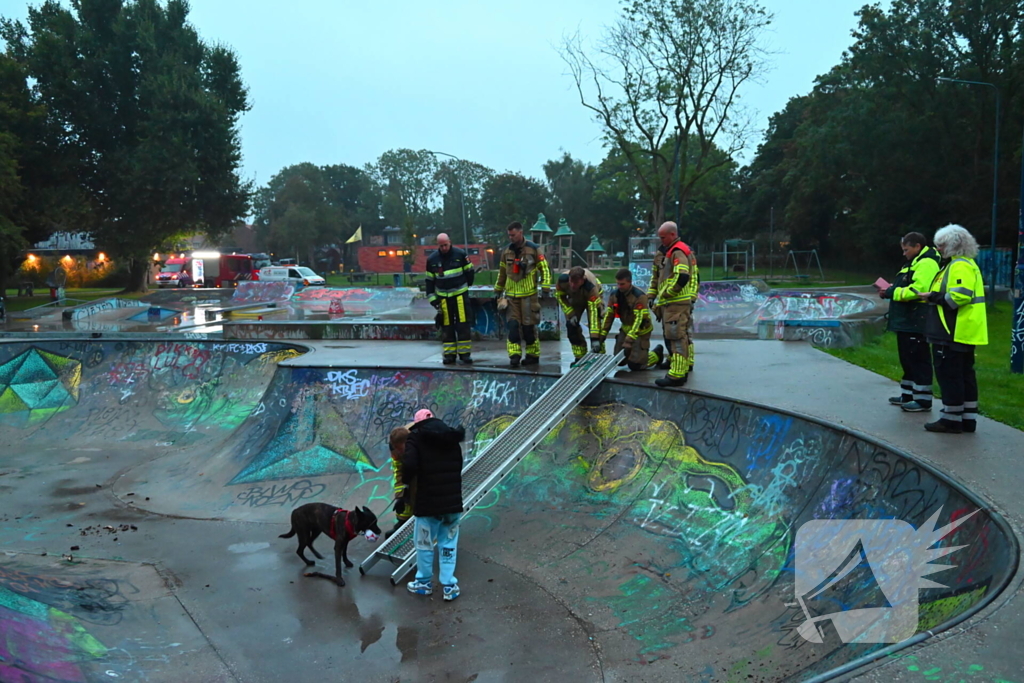 Hond vast in skateramp