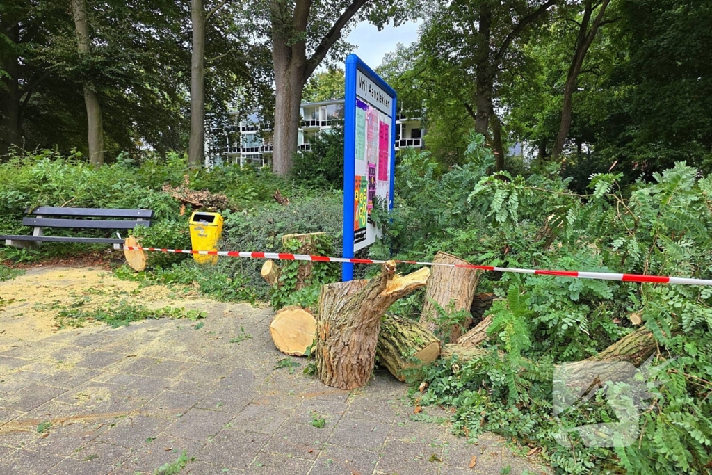 Omgevallen de boom mist fietser op haar na