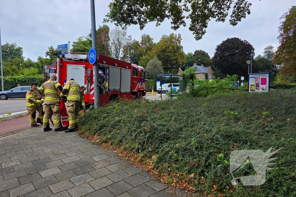 Omgevallen de boom mist fietser op haar na