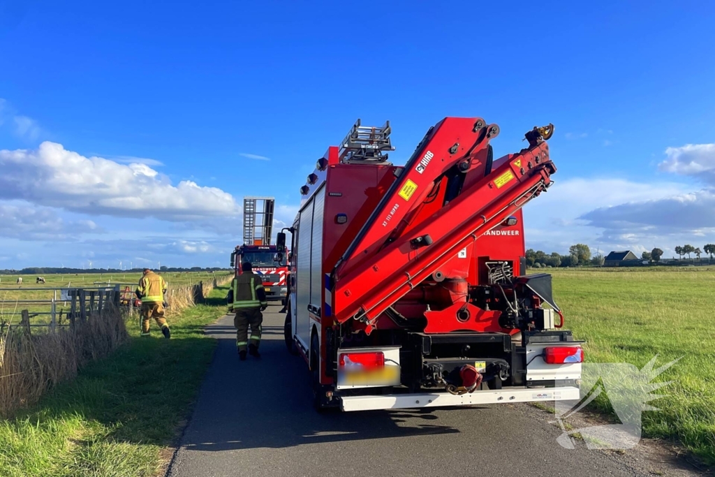Brandweer takelt paard uit water