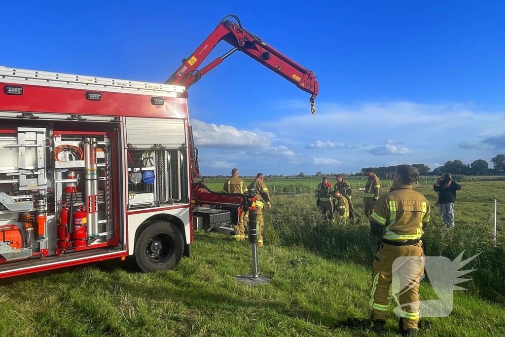 Brandweer takelt paard uit water