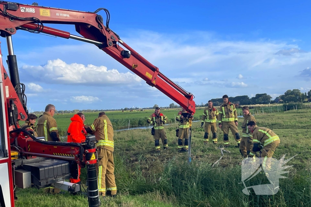 Brandweer takelt paard uit water